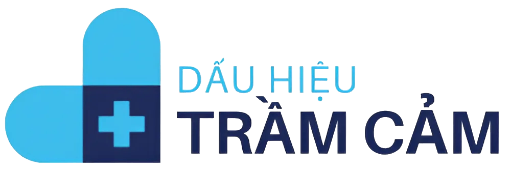 dauhieutramcam.com