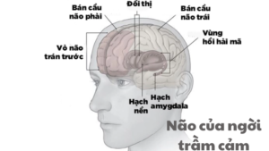 não của người trầm cảm